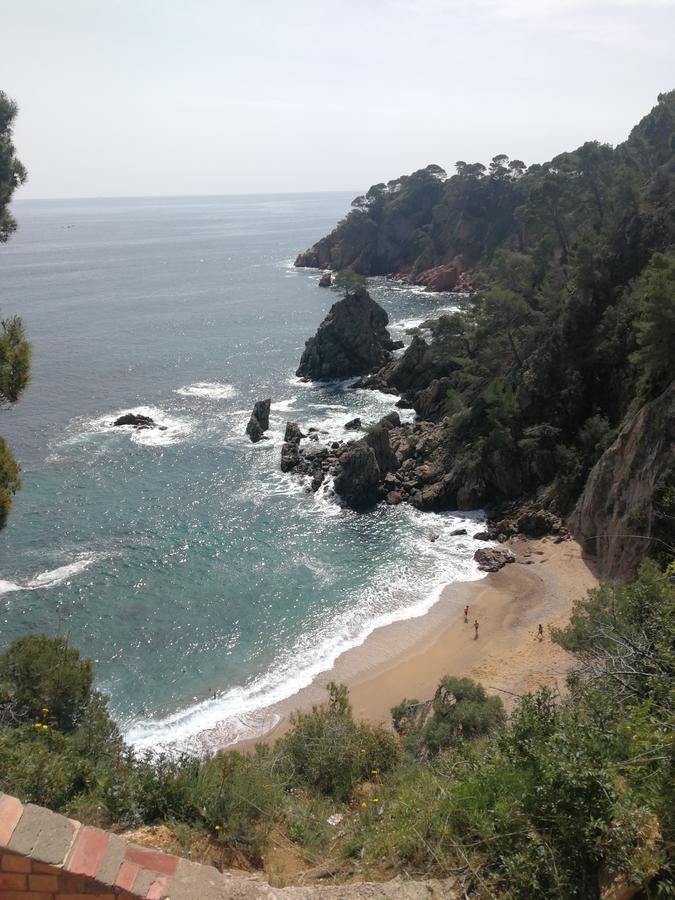 Hostal Plaja I Pati De Can Plaja ปาลาฟรูเจย์ ภายนอก รูปภาพ